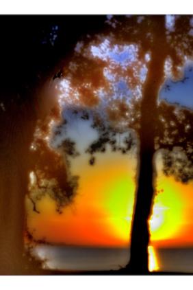 Entre l'ombre et la lumière